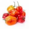 Piment Antillais en vrac (100g)
