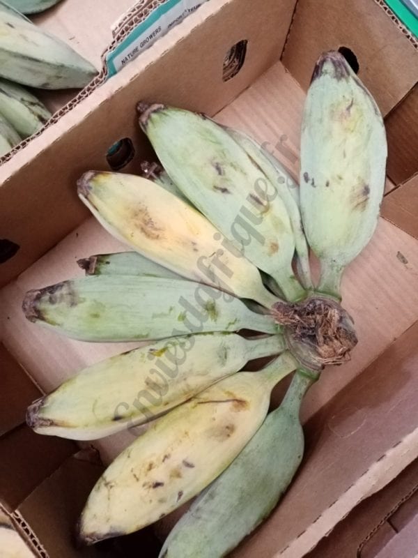 Banane Matoké 10kg