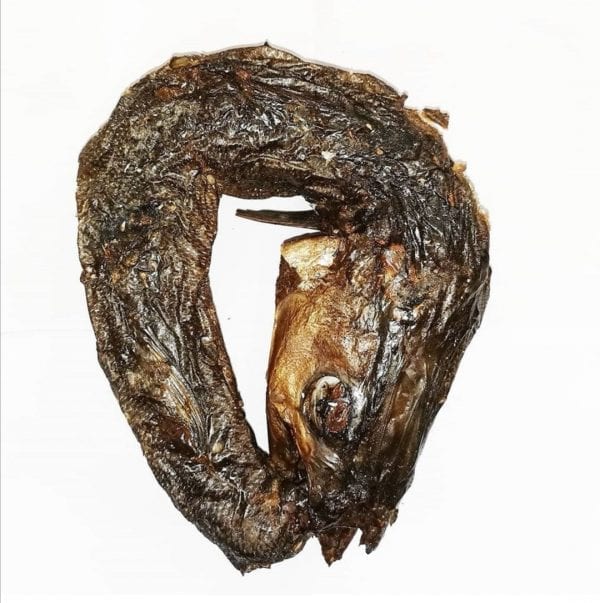Poisson fumé brochet 5kg