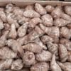 Taro, songe, madère CMR 10kg – Image 2