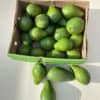 Avocat beurre CMR 5Kg – Image 2