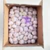 Ail blanc vrac 10kg – Image 2