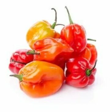 Piment antillais rouge 4kg