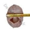 Darne de Tiof /Mérou/Grouper vrac sans tête 5kg – Image 4