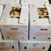Gros gingembre Chine 10kg – Image 3