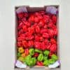 Piment antillais bicolore frais 4kg – Image 2