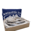 Poisson chinchard chili 500-900 20kg – Image 3