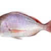 Dorade rose G/V individuel 600-800gr 10kg