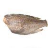 Capitaine empereur G/V 3-5kg  20kg