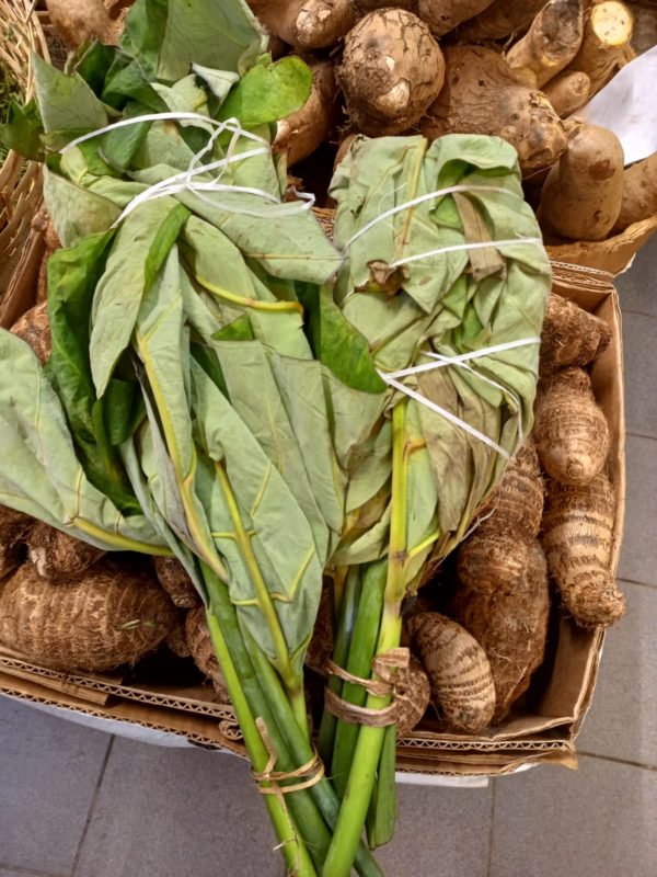 Feuille de macabo/calalu/songe/malanga/cocoyam 5kg