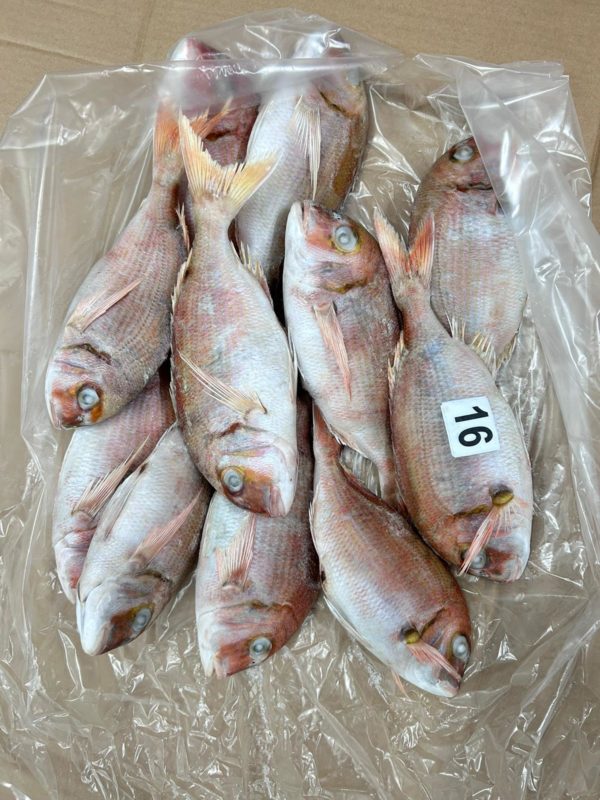 Dorade rose entière IQF 800-1000 10KG