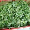 Feuille de lalo, molokhia fraîche 5kg – Image 2