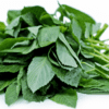 Feuille de lalo, molokhia fraîche 5kg