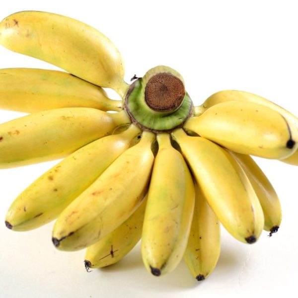 Banane diabétique 10kg