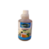 Ginger drink 12x500ml