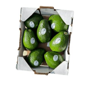 Avocat tropical non mûr 5kg