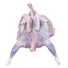 Poule nature ouverte x10 pièces – Image 2