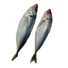 Chinchard/Thomson/Oya oya 350-550GR 20KG – Image 2