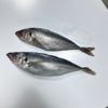 Chinchard/Thomson/Oya oya 350-550GR 20KG – Image 3