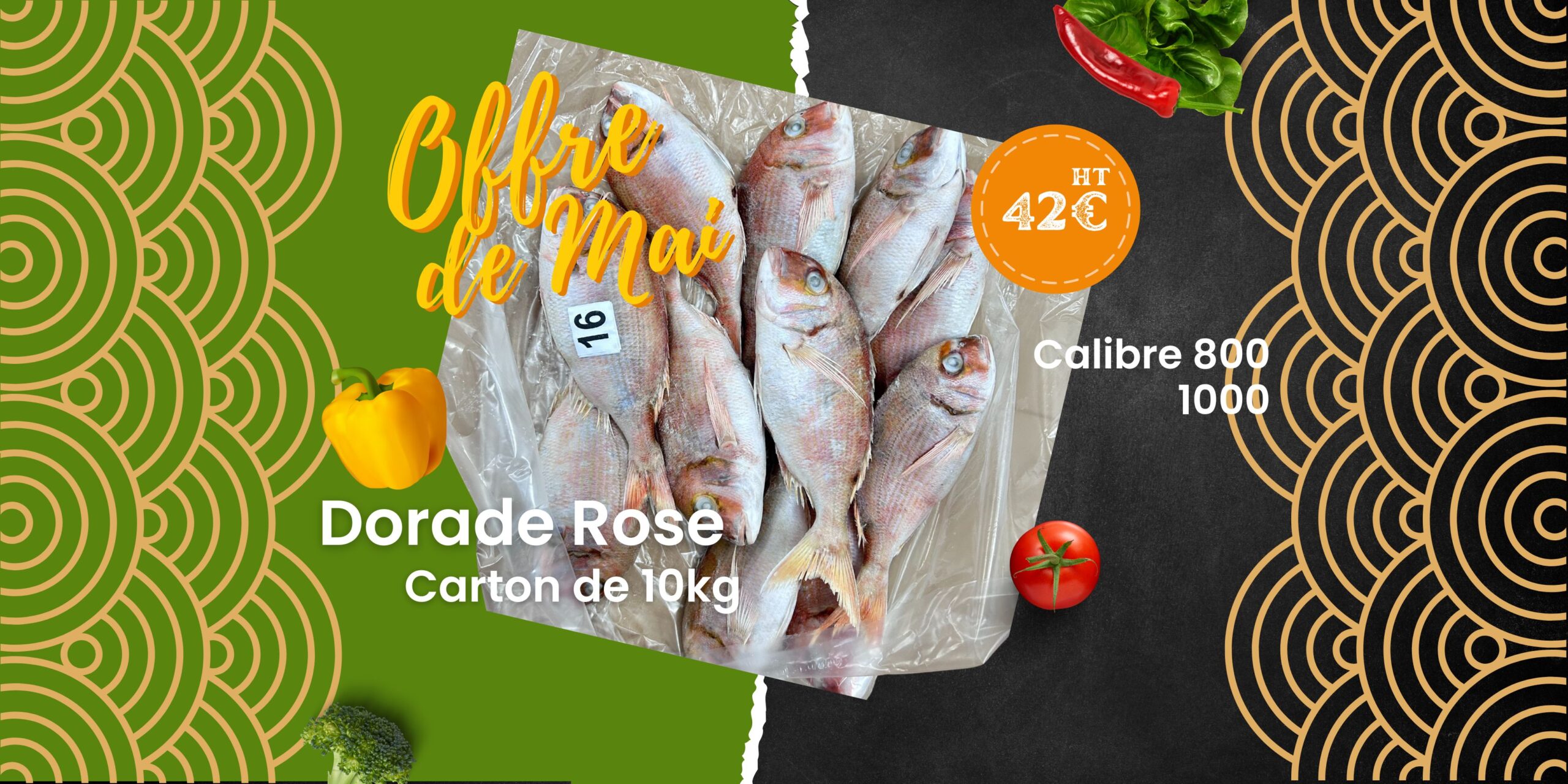 Exotique Pro bannière